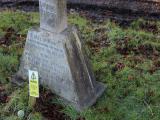 image of grave number 282566